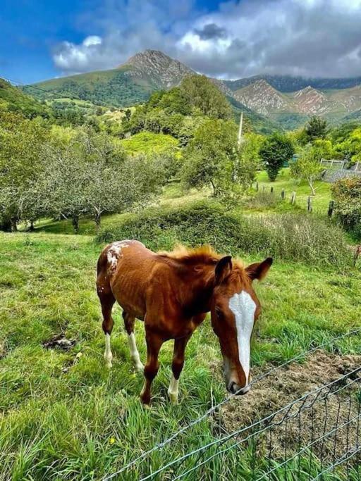 فيلا La Coqueta Del Sueve أريونداس المظهر الخارجي الصورة