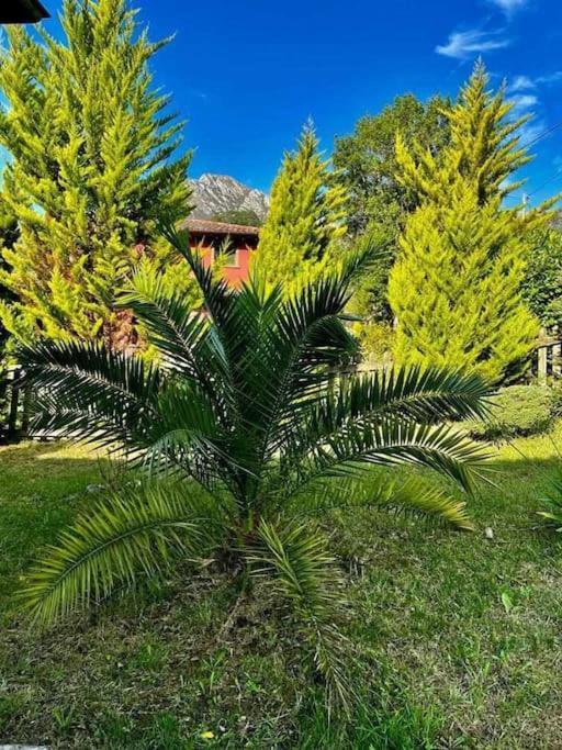 فيلا La Coqueta Del Sueve أريونداس المظهر الخارجي الصورة